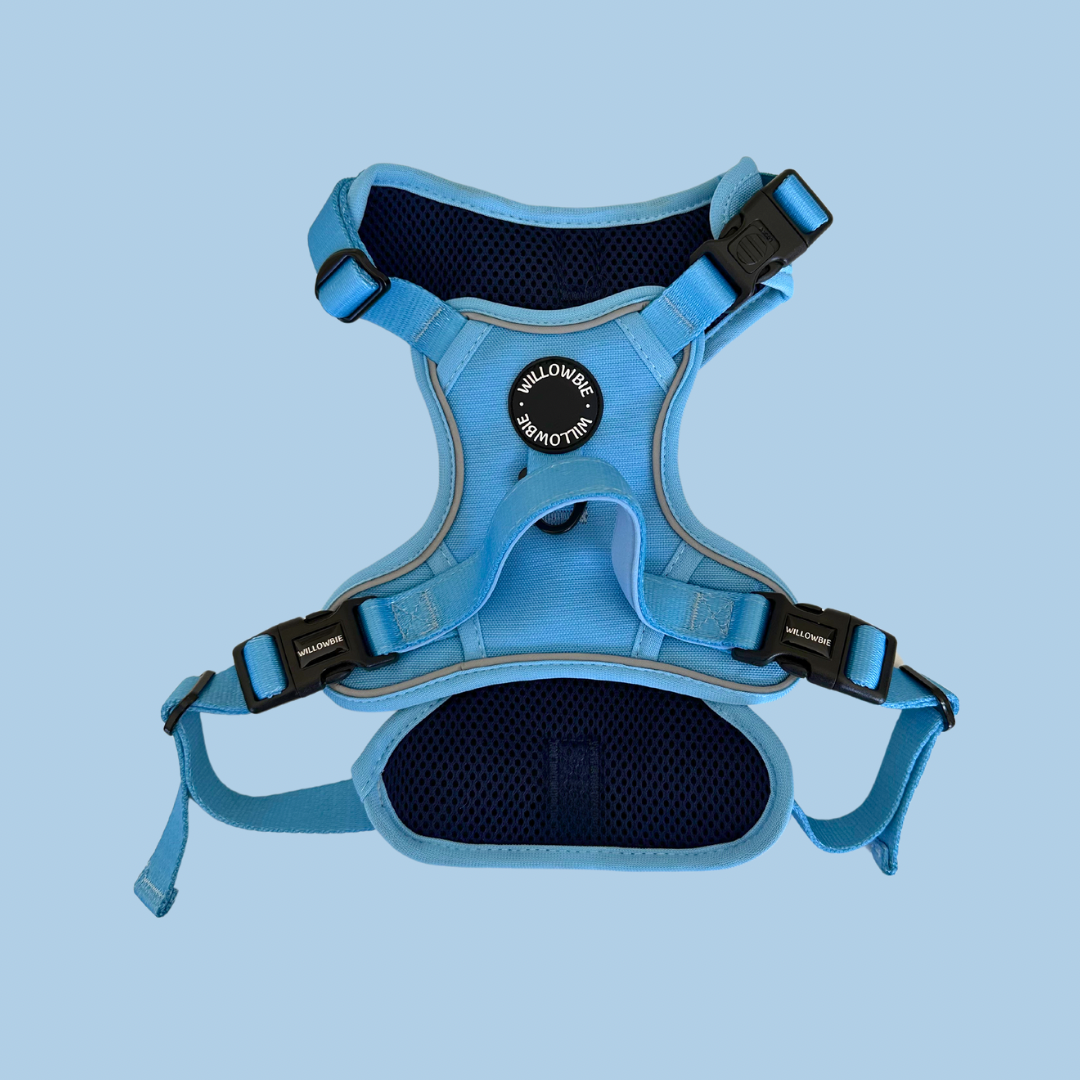 Everyday Harness | Sky Blue