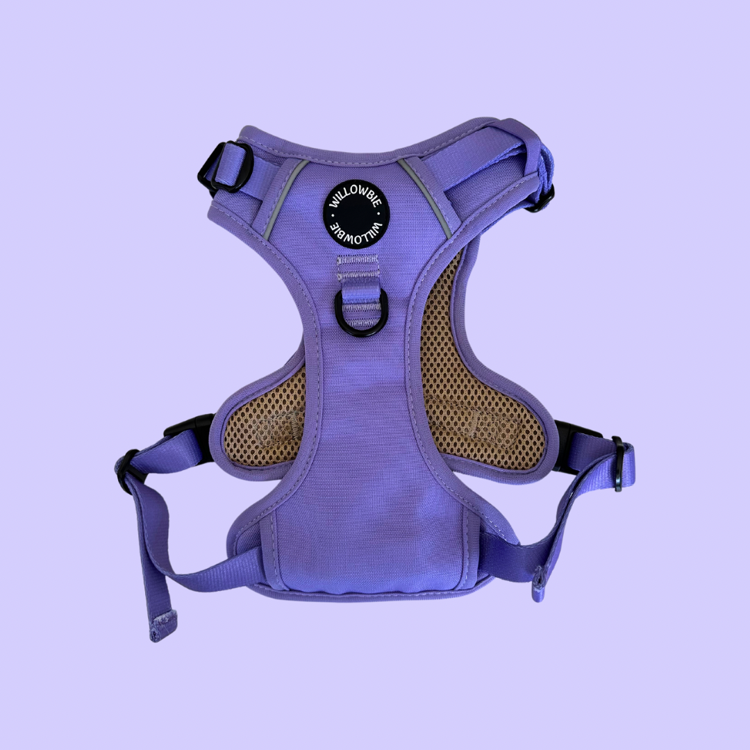 Everyday Harness | Lavender