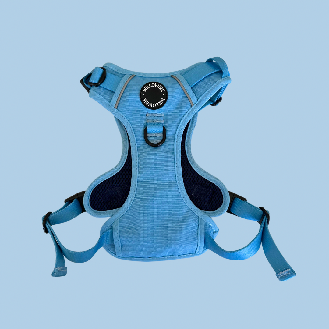 Everyday Harness | Sky Blue