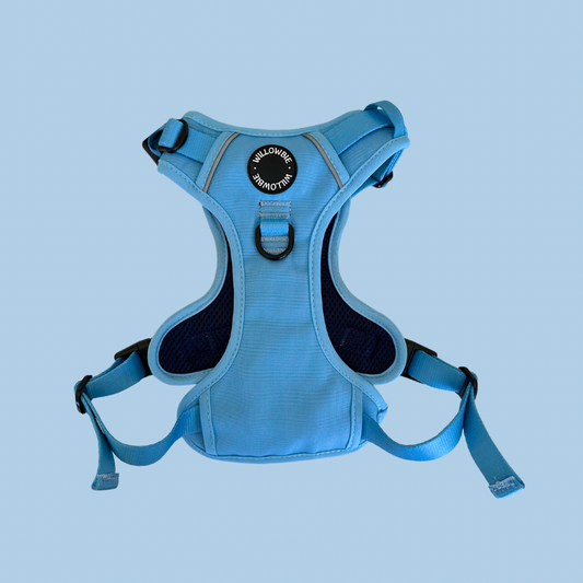 Everyday Harness | Sky Blue