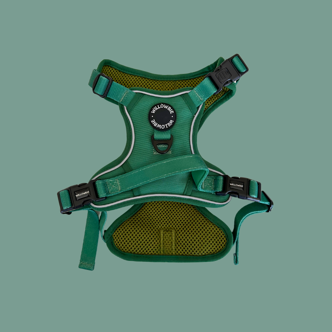 Everyday Harness | Forest Green